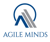 Agile Minds